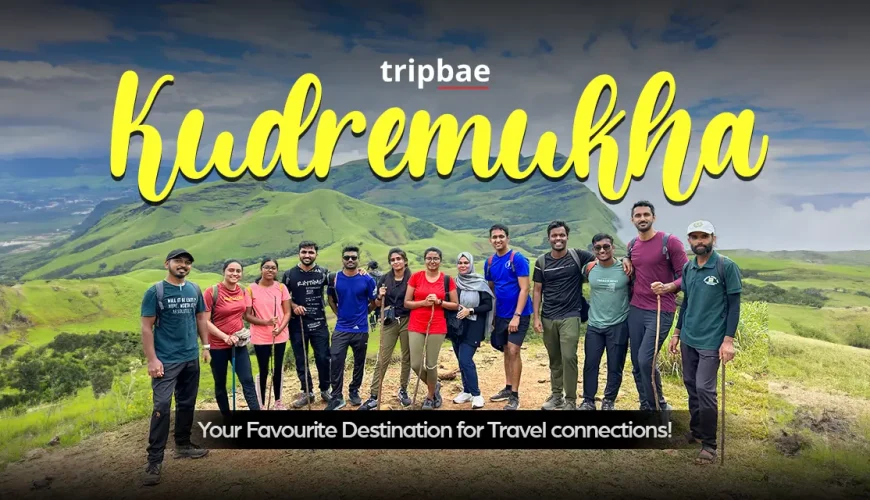 Kudremukh trek from bangalore kudremukh trek distance kudremukh trek entry fee kudremukh trek location kudremukh trek packages