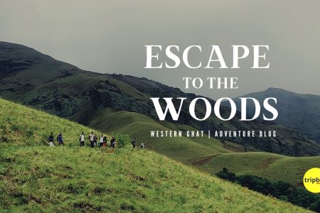 Kudremukha Trek and Sightseeing from Bengaluru – Travel Blog