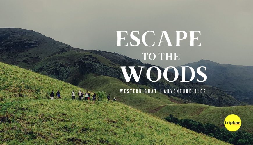 Kudremukha Trek and Sightseeing from Bengaluru – Travel Blog