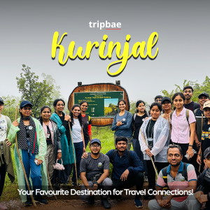 Munnar distance Munnar is famous for Munnar places for couples Munnar places to visit in one day Munnar places to visit with family Munnar Resorts 5 star Munnar Resorts for couples Munnar Resorts for family low price Munnar Resorts for family price list Munnar Resorts low price Munnar Resorts price Munnar Resorts with pool Munnar tourist places list PDF Munnar tourist places list with images Munnar tourist places list with images Munnar tourist places map Munnar tourist places Top 10 Places to visit in Munnar in 2 days Places to visit in Munnar in 3 days Places to visit in Munnar with family Top 5 places to visit in Munnar