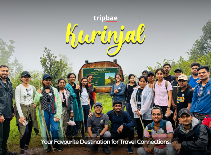 Munnar distance Munnar is famous for Munnar places for couples Munnar places to visit in one day Munnar places to visit with family Munnar Resorts 5 star Munnar Resorts for couples Munnar Resorts for family low price Munnar Resorts for family price list Munnar Resorts low price Munnar Resorts price Munnar Resorts with pool Munnar tourist places list PDF Munnar tourist places list with images Munnar tourist places list with images Munnar tourist places map Munnar tourist places Top 10 Places to visit in Munnar in 2 days Places to visit in Munnar in 3 days Places to visit in Munnar with family Top 5 places to visit in Munnar