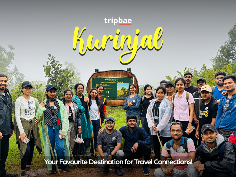 Munnar distance Munnar is famous for Munnar places for couples Munnar places to visit in one day Munnar places to visit with family Munnar Resorts 5 star Munnar Resorts for couples Munnar Resorts for family low price Munnar Resorts for family price list Munnar Resorts low price Munnar Resorts price Munnar Resorts with pool Munnar tourist places list PDF Munnar tourist places list with images Munnar tourist places list with images Munnar tourist places map Munnar tourist places Top 10 Places to visit in Munnar in 2 days Places to visit in Munnar in 3 days Places to visit in Munnar with family Top 5 places to visit in Munnar