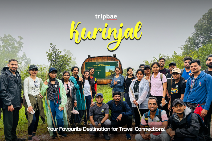 Munnar distance Munnar is famous for Munnar places for couples Munnar places to visit in one day Munnar places to visit with family Munnar Resorts 5 star Munnar Resorts for couples Munnar Resorts for family low price Munnar Resorts for family price list Munnar Resorts low price Munnar Resorts price Munnar Resorts with pool Munnar tourist places list PDF Munnar tourist places list with images Munnar tourist places list with images Munnar tourist places map Munnar tourist places Top 10 Places to visit in Munnar in 2 days Places to visit in Munnar in 3 days Places to visit in Munnar with family Top 5 places to visit in Munnar