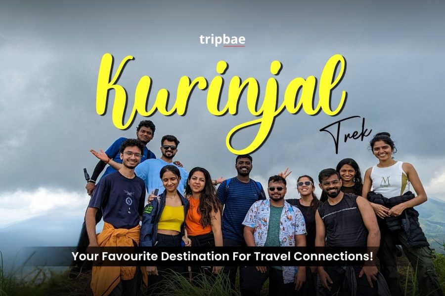 best Kurinjal Peak trek from Bangalore, Kurinjal trek itinerary, Kurinjal group trek, Kurinjal trek Kudremukh, book Kurinjal trek online