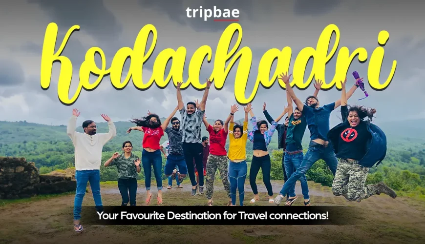kodachadri trek distance kodachadri trek entry fee kodachadri trek best timekodachadri trek location Kodachadri trek from bangalore kodachadri trek time kodachadri distance Kodachadri trek kodachadri jeep ride cost Kodacha