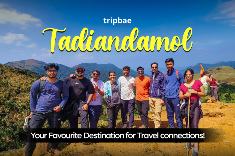 tadiandamol trek start point Tadiandamol trek distance from bangalore Tadiandamol trek distance from coorg tadiandamol trek best time tadiandamol trek difficulty level tadiandamol trek package tadiandamol trek review madikeri to tadiandamol distance tadiandamol trek distance Tadiandamol trek from bangalore distance Tadiandamol trek from bangalore timings Tadiandamol trek from bangalore price tadiandamol trek best time tadiandamol trek review tadiandamol trek homestay tadiandamol trek details
