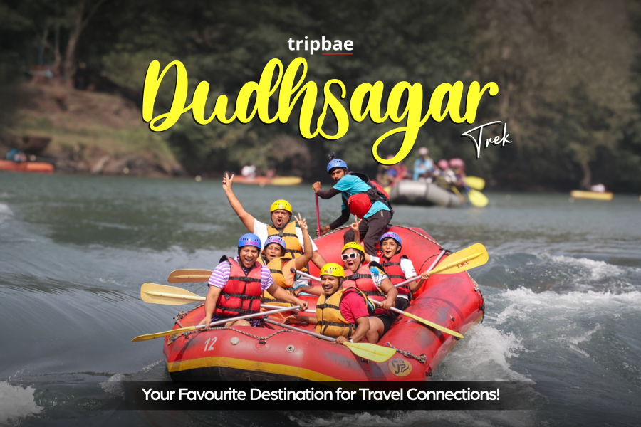 Dudhsagar falls current status today Dudhsagar Falls from Bangalore Dudhsagar Falls location Dudhsagar falls photos from Train Dudhsagar falls photos hd download Dudhsagar Falls photos location Dudhsagar falls photos wallpaper Dudhsagar Falls tickets Dudhsagar Falls train Dudhsagar Falls trek booking Dudhsagar falls trek difficulty level Dudhsagar falls trek distance Dudhsagar Falls trek from Bangalore Dudhsagar falls trek price Dudhsagar falls trek time Dudhsagar waterfall booking price Dudhsagar waterfall images hd Dudhsagar Waterfall jeep booking Is Dudhsagar trek open now