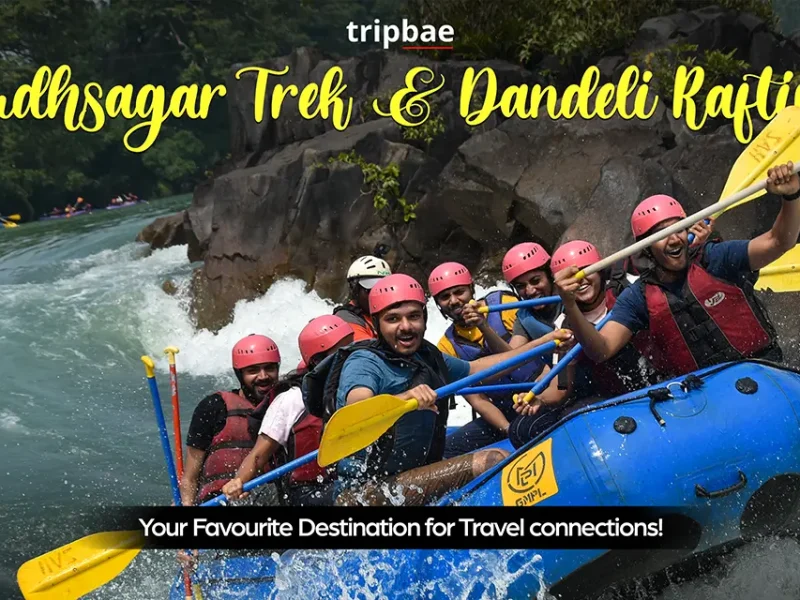 Dudhsagar Falls Trek & Dandeli Adventure!