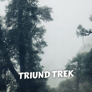 Triund Trek
