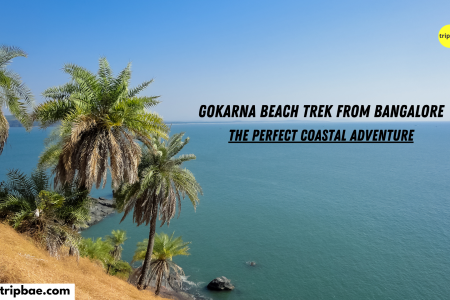 Gokarna Beach Trek: Your Ultimate Weekend Escape from Bangalore