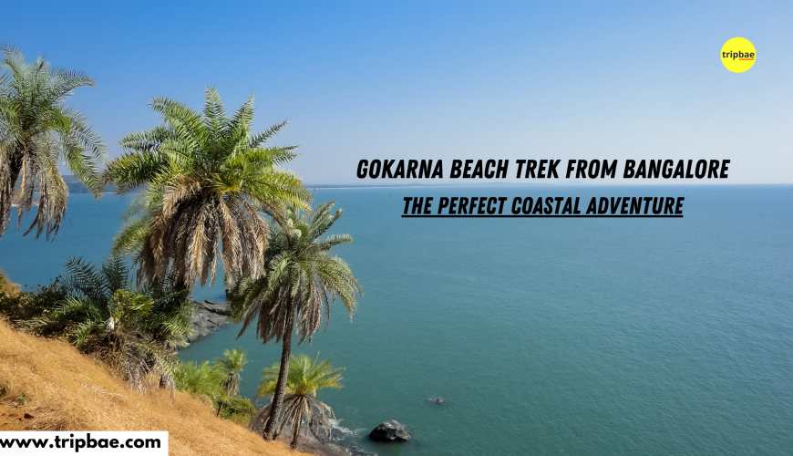 gokarna beach trek from bangalore weekend getaways from bangalore beach treks in south india trek on gokarna beach monsoon treks in karnataka beach treks in karnataka