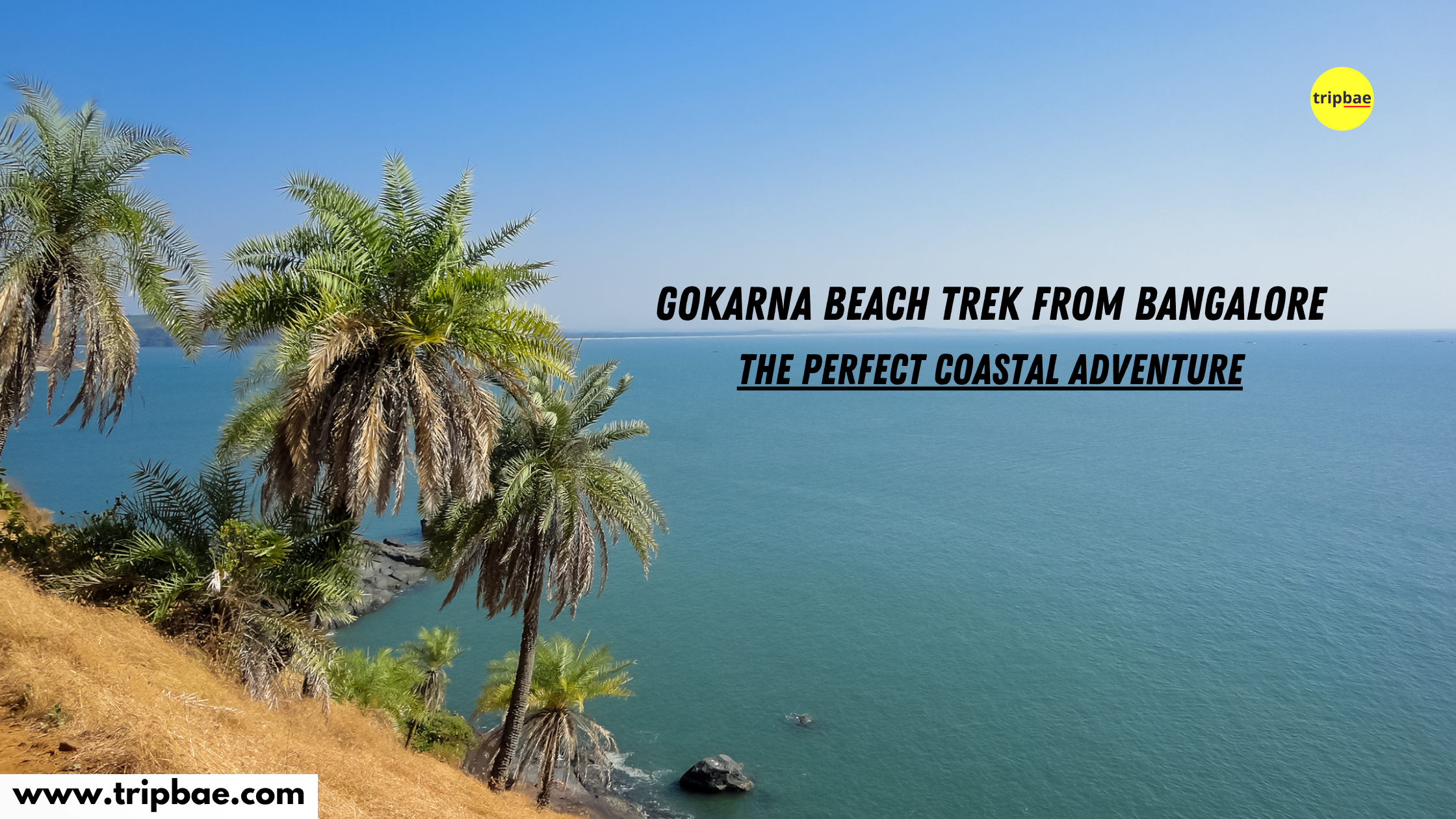 gokarna beach trek from bangalore weekend getaways from bangalore beach treks in south india trek on gokarna beach monsoon treks in karnataka beach treks in karnataka