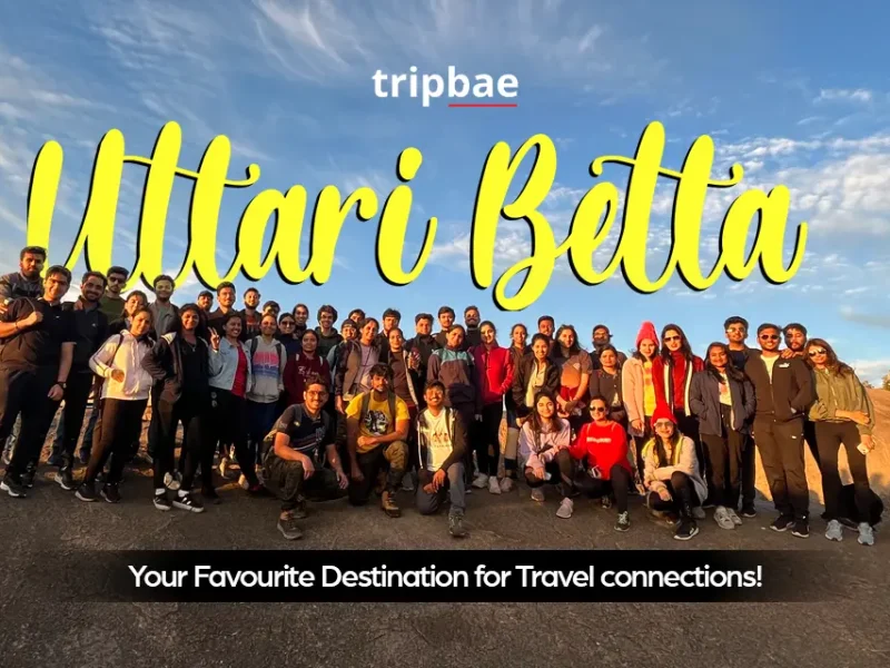 Uttari betta trek timings uttari betta trek map uttari betta trek location Uttari betta trek from bangalore uttari betta trek distance Uttari betta trek difficulty level uttari betta trek entry fee uttari betta tre