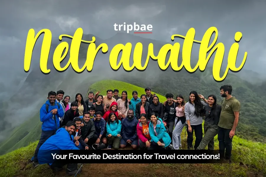 Netravati trek distance Netravati trek cost netravati trek booking netravati trek closed Netravati trek itinerary netravati peak trek details netravati trek best time to visit Netravati trek from