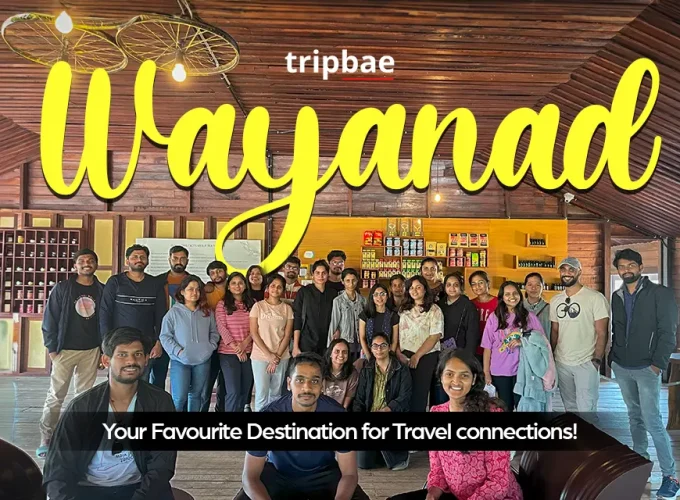 Wayanad airbnb with private pool Wayanad airbnb luxury Wayanad airbnb for couples Best wayanad airbnb wayanad homestay airbnb wayanad kalpetta wayanad tree house airbnb airbnb wayanad vythiri