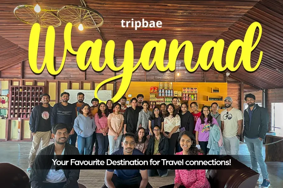Wayanad airbnb with private pool Wayanad airbnb luxury Wayanad airbnb for couples Best wayanad airbnb wayanad homestay airbnb wayanad kalpetta wayanad tree house airbnb airbnb wayanad vythiri