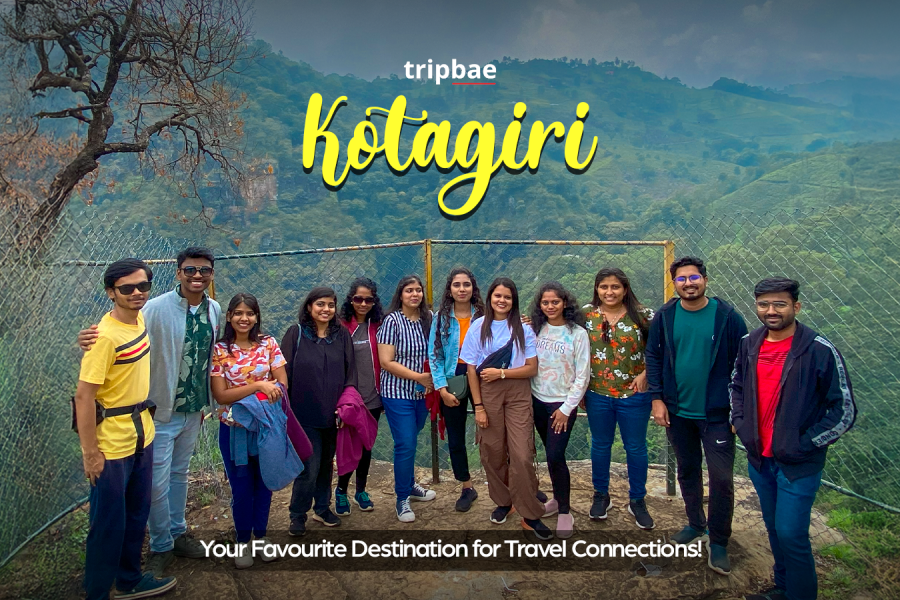 Kotagiri bangalore Kotagiri trek Kotagiri tourist places Kotagiri Resorts Kotagiri to Ooty Kotagiri beach Kotagiri famous for Kotagiri weather Kotagiri bangalore distance Kotagiri bangalore map Bangalore to Kotagiri bus Kotagiri bangalore timings Kotagiri bangalore temple Bangalore to Kotagiri Train Bangalore to Kotagiri by car Kotagiri Resorts Kotagiri trek from bangalore Kotagiri trek distance Kotagiri trekking packages Kotagiri trek price Kotagiri trek starting point Kotagiri trek difficulty level Kotagiri trek itinerary Kotagiri trek from ooty