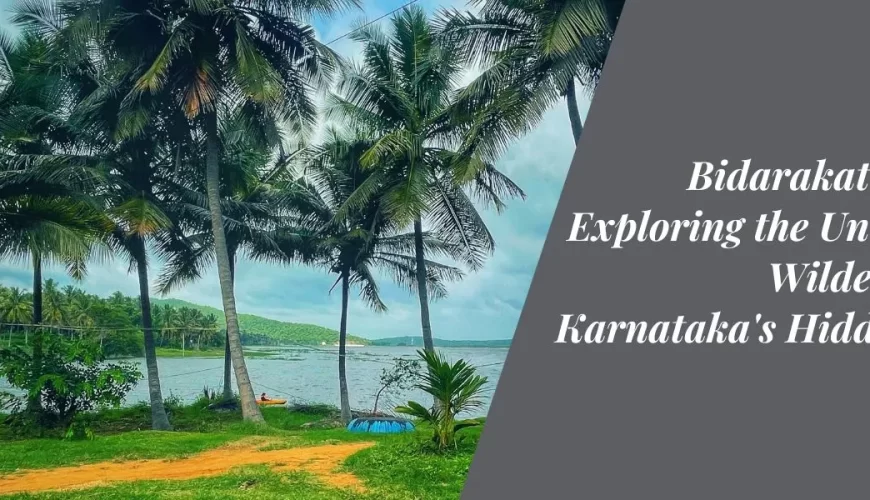 Bidarakatte Trek Exploring the Untouched Wilderness of Karnataka's Hidden Gem
