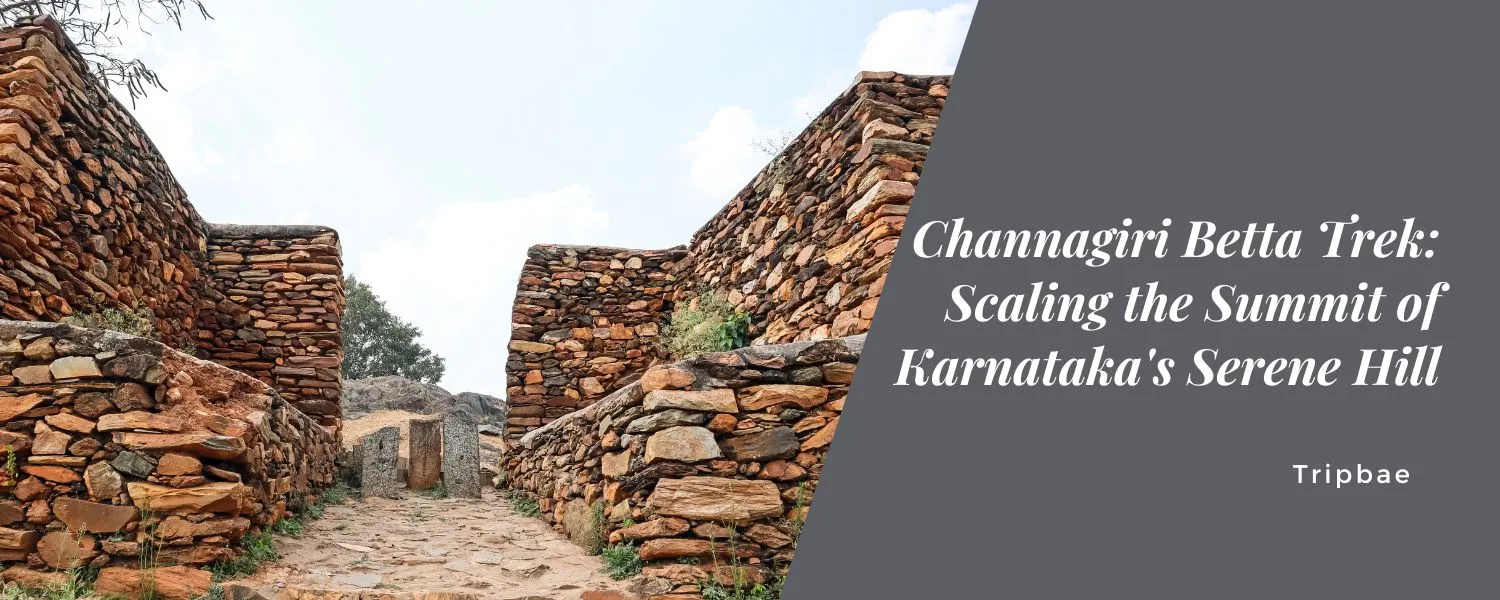 Channagiri Betta Trek Scaling the Summit of Karnataka's Serene Hill