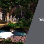 Dandeli: Where Adventure and Serenity Converge