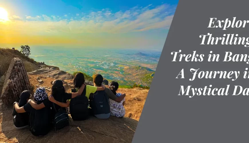 Exploring the Thrilling Night Treks in Bangalore A Journey into the Mystical Darkness