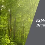 Kaurava Kunda Exploring the Mystical Beauty of Karnataka's Sacred Hill
