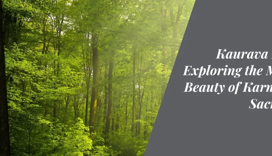 Kaurava Kunda Exploring the Mystical Beauty of Karnataka's Sacred Hill