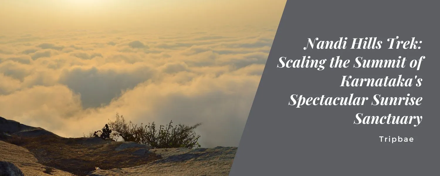 Nandi Hills Trek Scaling the Summit of Karnataka's Spectacular Sunrise Sanctuary