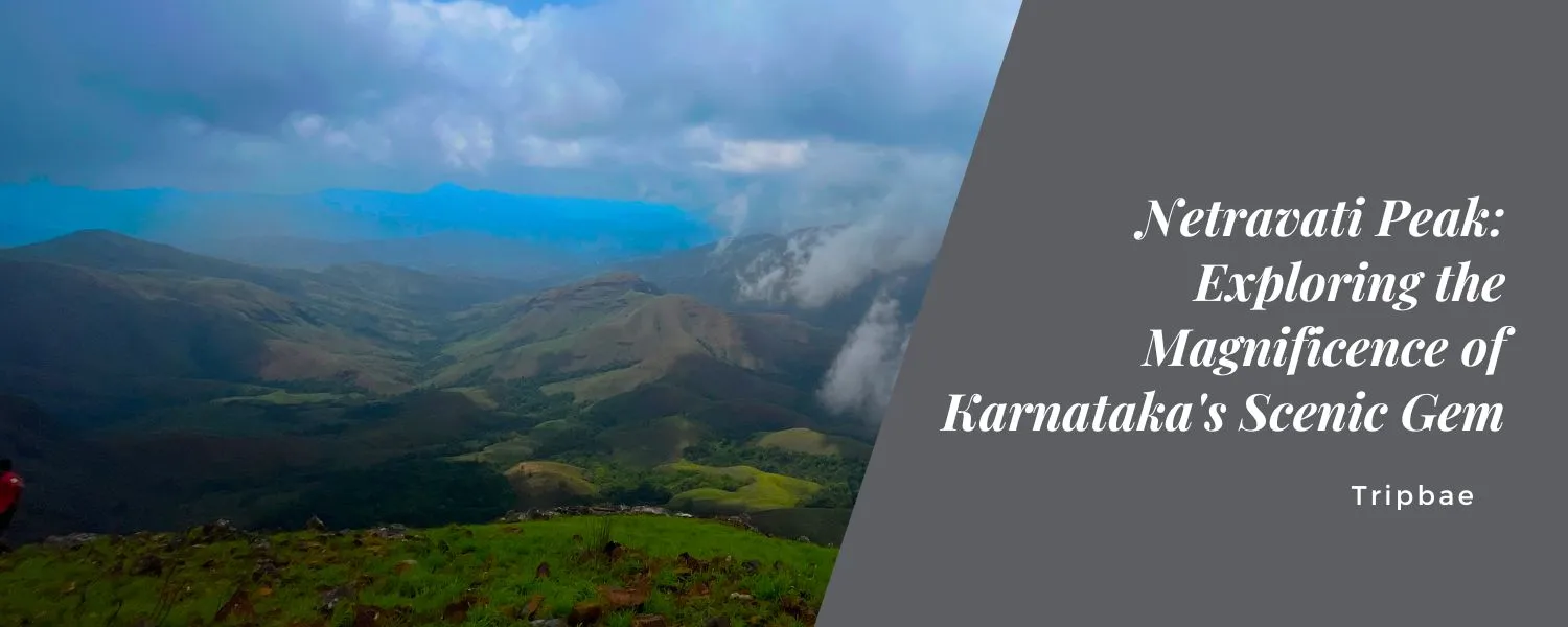 Netravati Peak Exploring the Magnificence of Karnataka's Scenic Gem