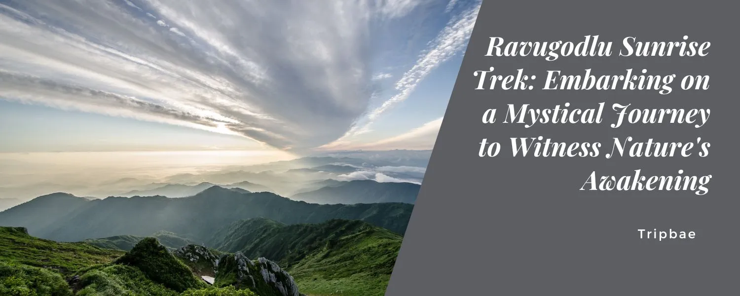 Ravugodlu Sunrise Trek Embarking on a Mystical Journey to Witness Nature's Awakening