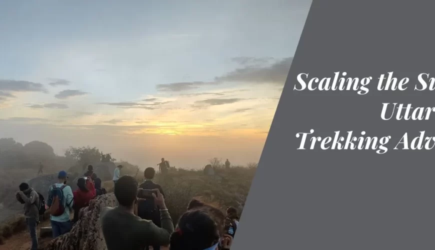 Scaling the Summit: Uttari Betta Trekking Adventure