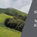 Trekking through Nature's Masterpiece: The Kudremukh Trek