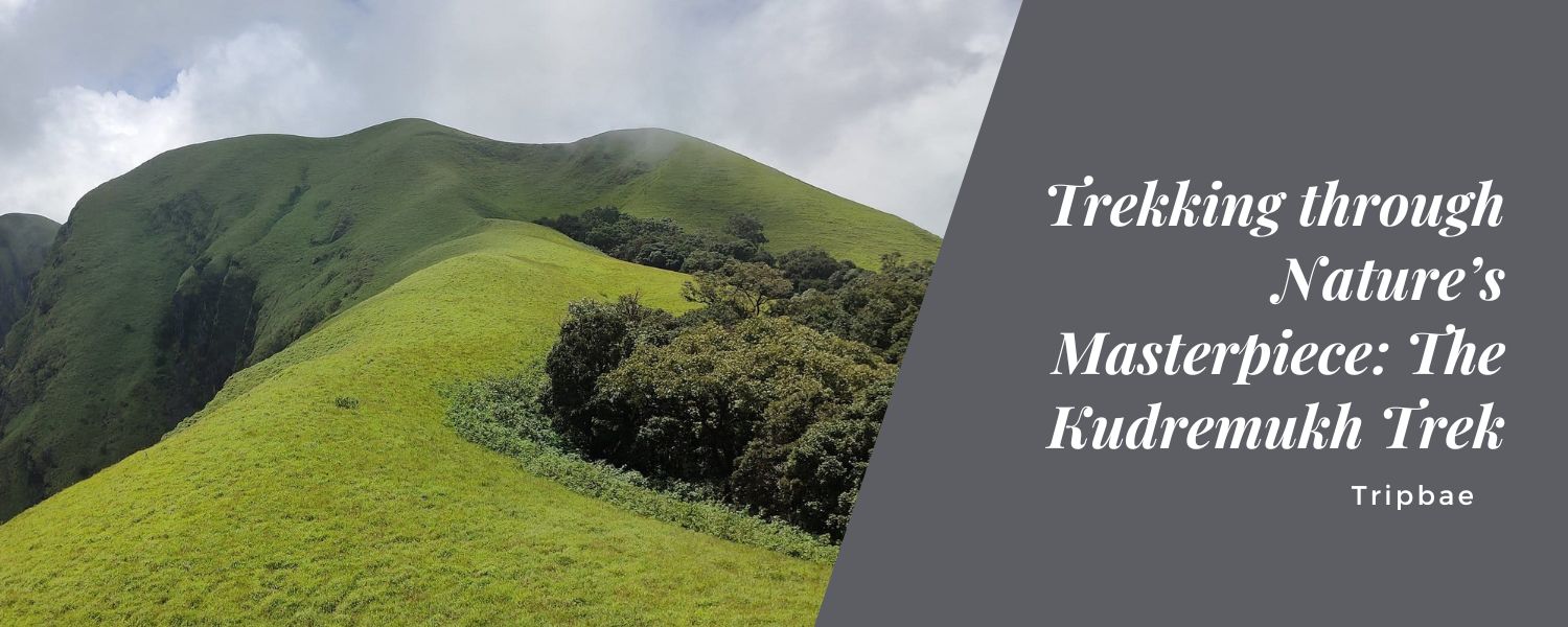 Trekking through Nature's Masterpiece: The Kudremukh Trek