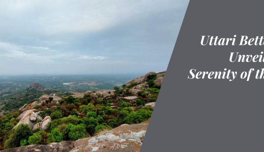 Uttari Betta Trek: Unveiling the Serenity of the Twin Peaks
