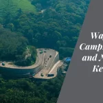 Wayanad Adventure Camp Embrace Thrills and Natural Beauty in Kerala's Wilderness