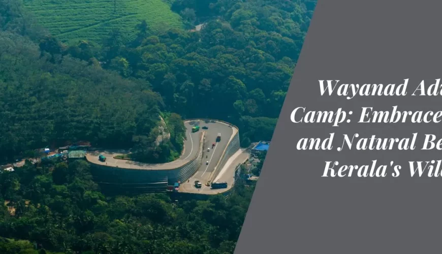 Wayanad Adventure Camp Embrace Thrills and Natural Beauty in Kerala's Wilderness