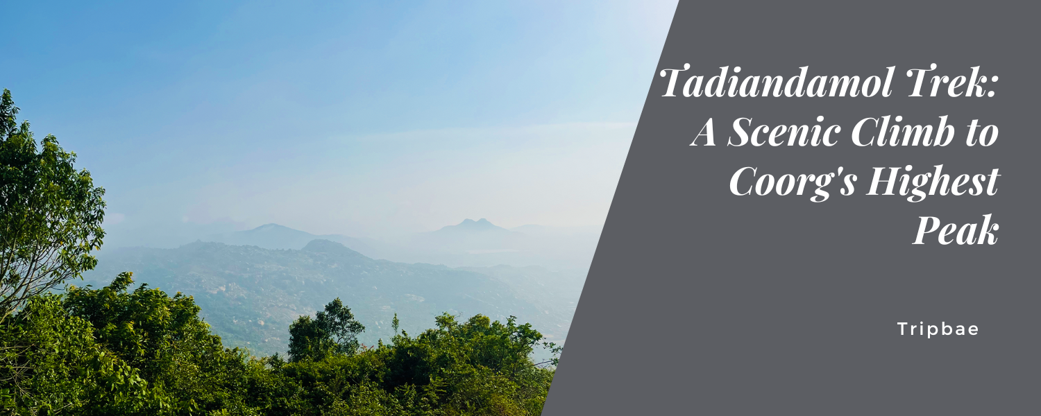 Tadiandamol Trek: A Scenic Climb to Coorg’s Highest Peak