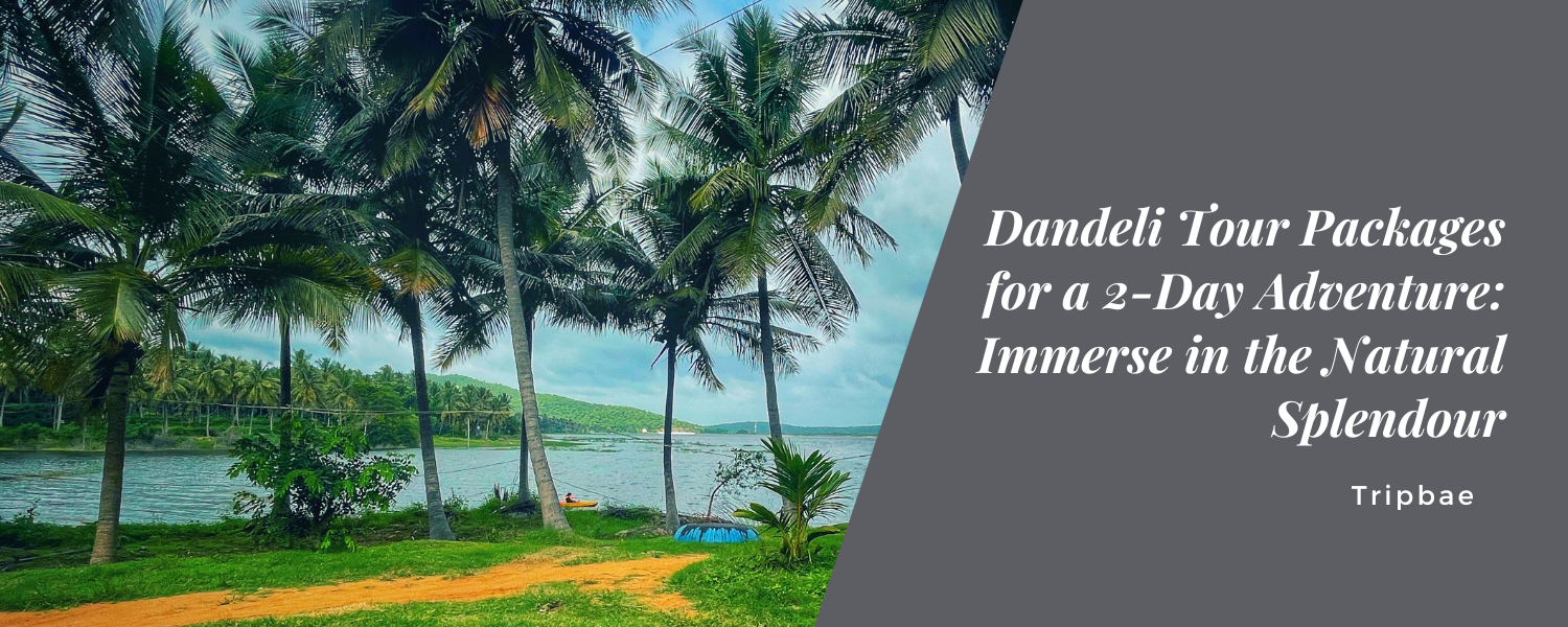 Dandeli Tour Packages for a 2-Day Adventure: Immerse in the Natural Splendour