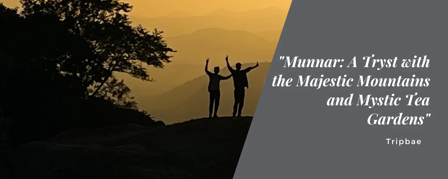 Munnar: A Tryst with the Majestic Mountains and Mystic Tea Gardens