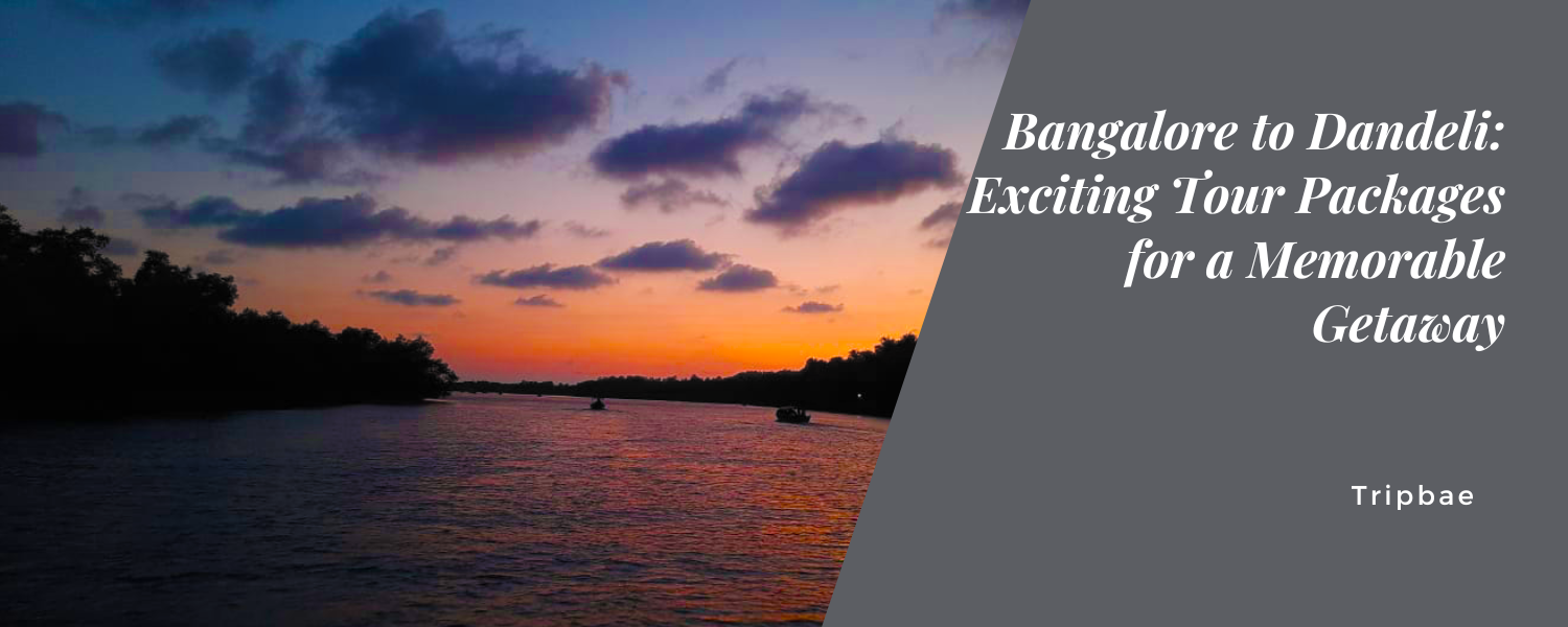 Bangalore to Dandeli: Exciting Tour Packages for a Memorable Getaway