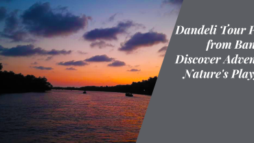 Dandeli Tour Package from Bangalore: Discover Adventure in Nature’s Playground