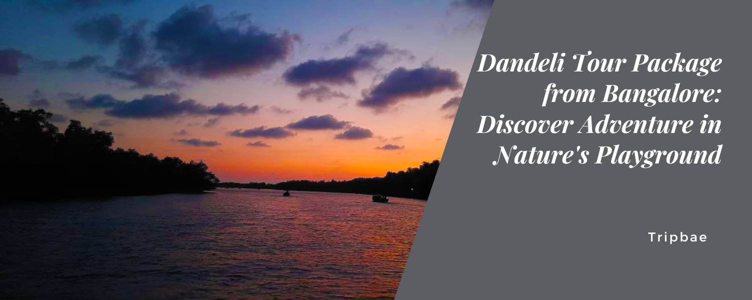 Dandeli Tour Package from Bangalore: Discover Adventure in Nature’s Playground