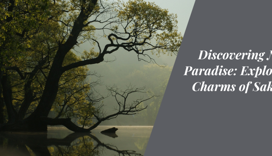 Discovering Nature’s Paradise: Exploring the Charms of Sakleshpur