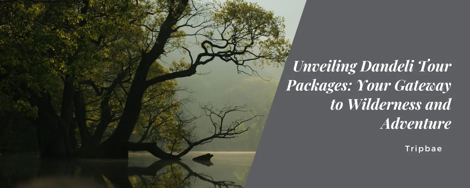 Unveiling Dandeli Tour Packages: Your Gateway to Wilderness and Adventure