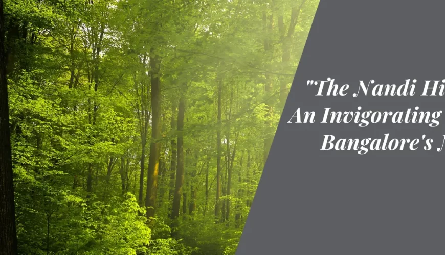 The Nandi Hill Trek: An Invigorating Hike to Bangalore’s Natural Oasis