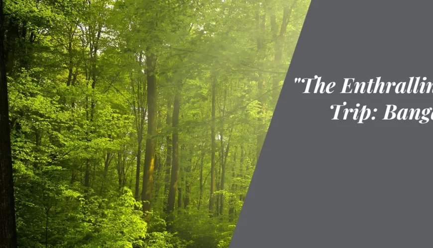 The Enthralling Road Trip: Bangalore to Coorg