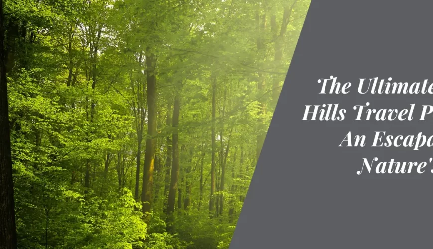 The Ultimate Nandi Hills Travel Package: An Escapade into Nature’s Abode