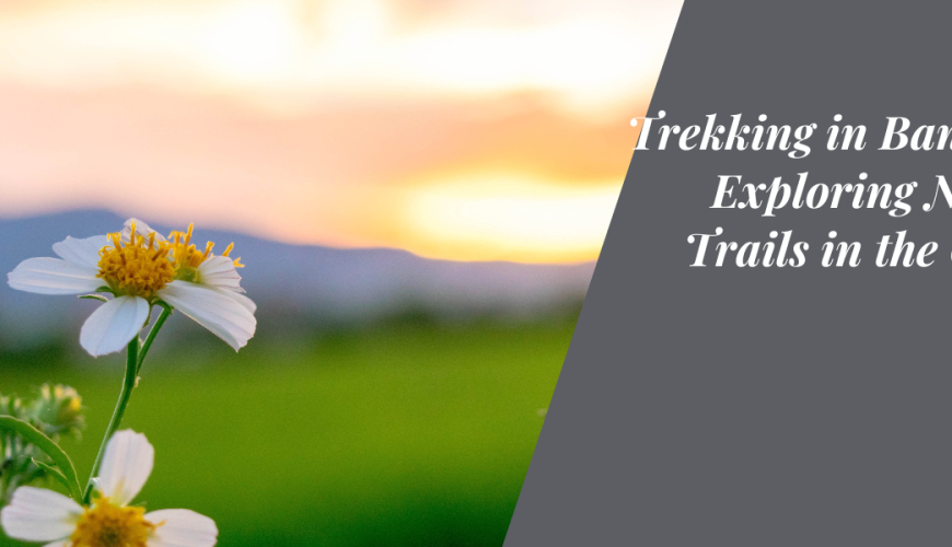 Trekking in Bangalore: Exploring Nature’s Trails in the Garden City