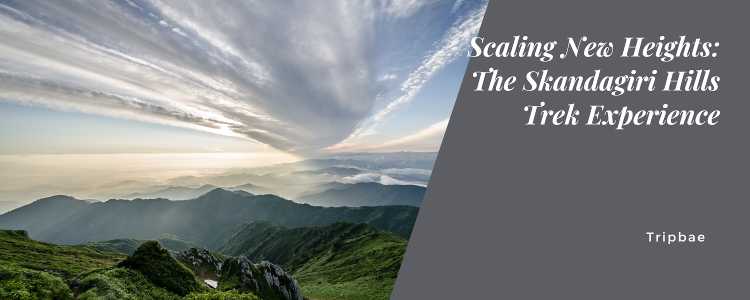 Scaling New Heights: The Skandagiri Hills Trek Experience