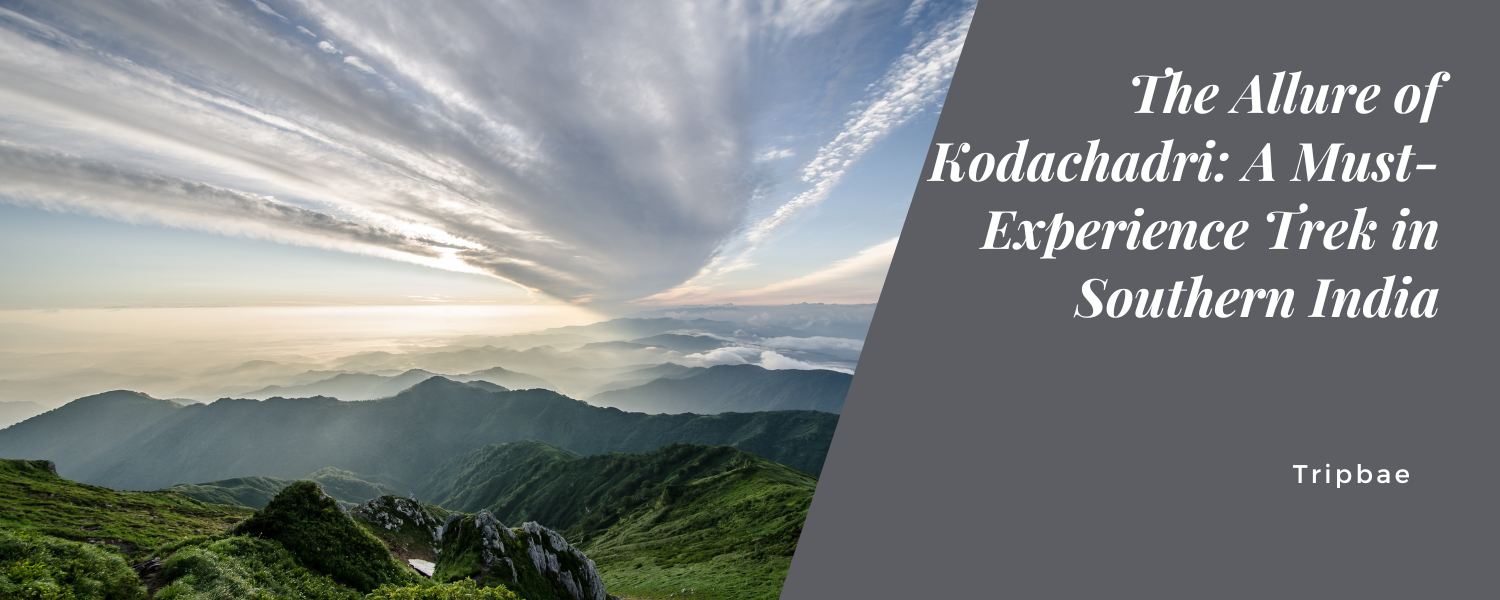 The Allure of Kodachadri: A Must-Experience Trek in Southern India